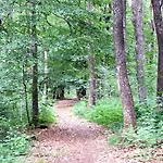 Eifelschaetzchen Am Kronenburger * Dahlem (Euskirchen)