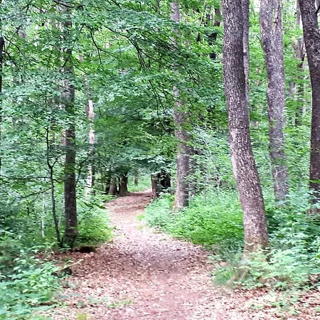 Eifelschaetzchen Am Kronenburger * Dahlem (Euskirchen)