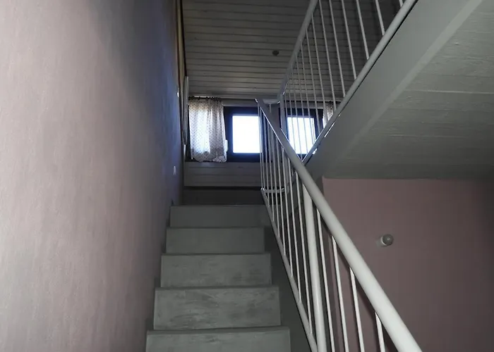 Eifelschaetzchen Am Kronenburger Dahlem (Euskirchen)