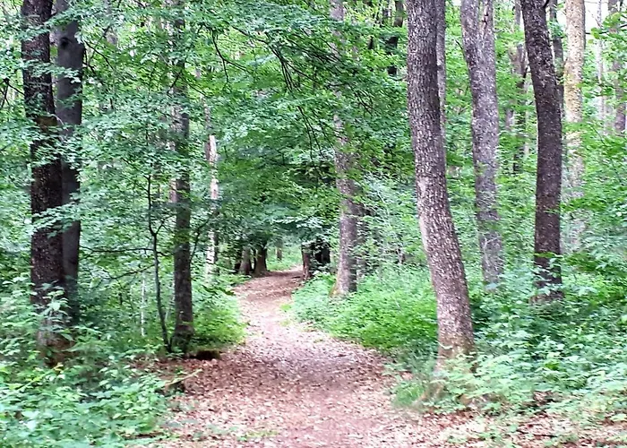 Eifelschaetzchen Am Kronenburger * Dahlem (Euskirchen)